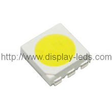 5050 PLCC6 Top SMD LED in Weiß